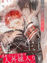 长夜有灯 都市言情免费小说封面